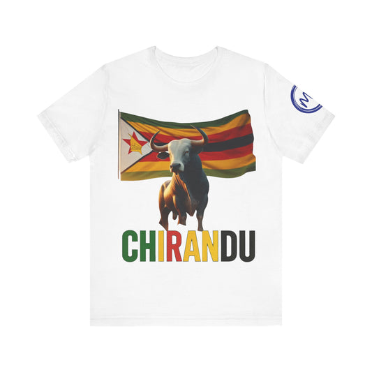 Zimbabwean Totems, Chirandu Graphic, African Heritage Tee - Mucheno Spot